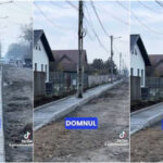 video stalpi lasati in mijlocul trotuarului la slobozia primarul cearta drumarii suntem cascadorii rasului ce ati facut este o panarama 693d7eddd6ee9