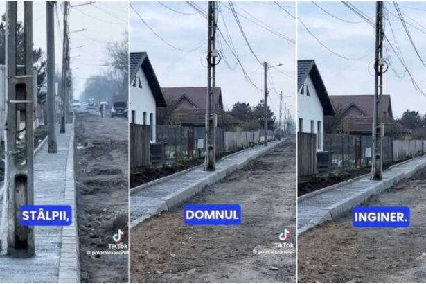 video stalpi lasati in mijlocul trotuarului la slobozia primarul cearta drumarii suntem cascadorii rasului ce ati facut este o panarama 693d7eddd6ee9