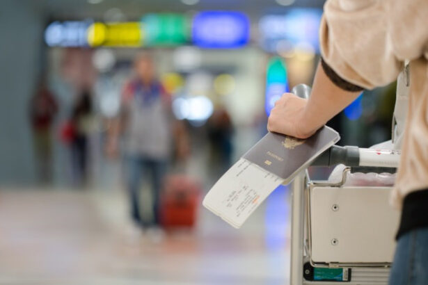 video turismul in 2026 vizite la ferme excursii in natura si escapade nocturne noile preferinte ale calatorilor 69514eba45a8b