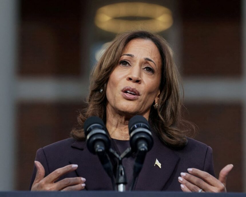 wrong voters wrong message progressives autopsy lays bare kamala harris failures 69395eb9f416d