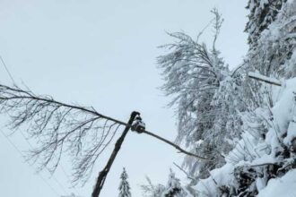 alba 254 de utilizatori din sapte localitati in continuare fara curent electric 695e7f6a982d0