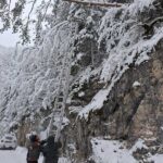 alba aproape 9 000 de utilizatori fara energie electrica peste 6 500 au fost realimentati duminica 695ad9620a725