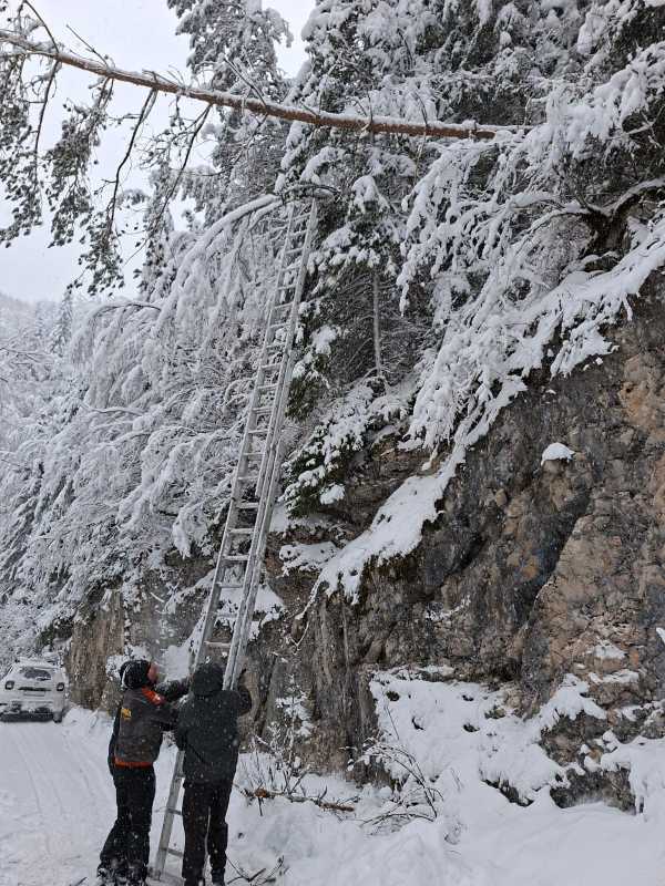 alba aproape 9 000 de utilizatori fara energie electrica peste 6 500 au fost realimentati duminica 695ad9620a725