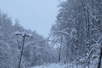 alba numarul utilizatorilor din muntii apuseni nealimentati cu energie electrica s a redus la circa 2 500 695d63cb381f3