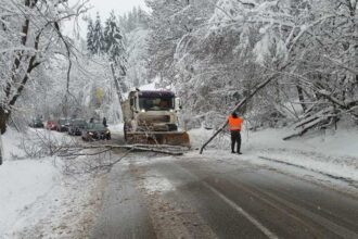 alba peste 10 000 de consumatori fara energie electrica luni dupa amiaza 695bad921938a