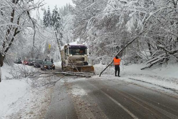 alba peste 10 000 de consumatori fara energie electrica luni dupa amiaza 695bad921938a