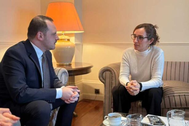 alexandru rogobete discutii cu ministrul spaniol al sanatatii despre dezvoltarea ambulatoriului de specialitate si a centrelor medicale comunitare 695fc8c1b60ee