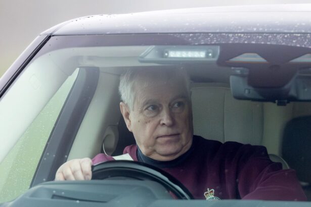 andrew went to intimate dinner with epstein after his prison release files suggest 697d0325d4f0b