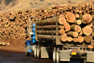 aplicatia sumal a fost actualizata pentru a opri furtul de lemn ministra diana buzoianu anunta ce obligatii vor avea transportatorii 6973b2ad77be1