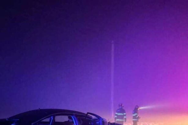 arad un mort si doi raniti grav dupa ce o masina s a izbit de un copac la curtici 69689053d1738