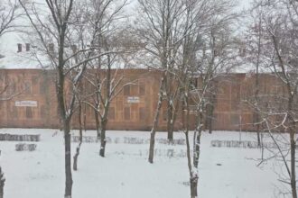 bihor pavilioanele istorice din statiunea baile felix expertizate pentru reintroducerea in circuitul turistic 69677dcb6ee10