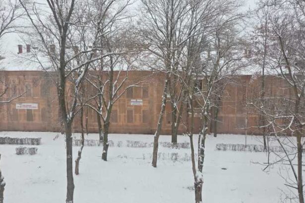 bihor pavilioanele istorice din statiunea baile felix expertizate pentru reintroducerea in circuitul turistic 69677dcb6ee10