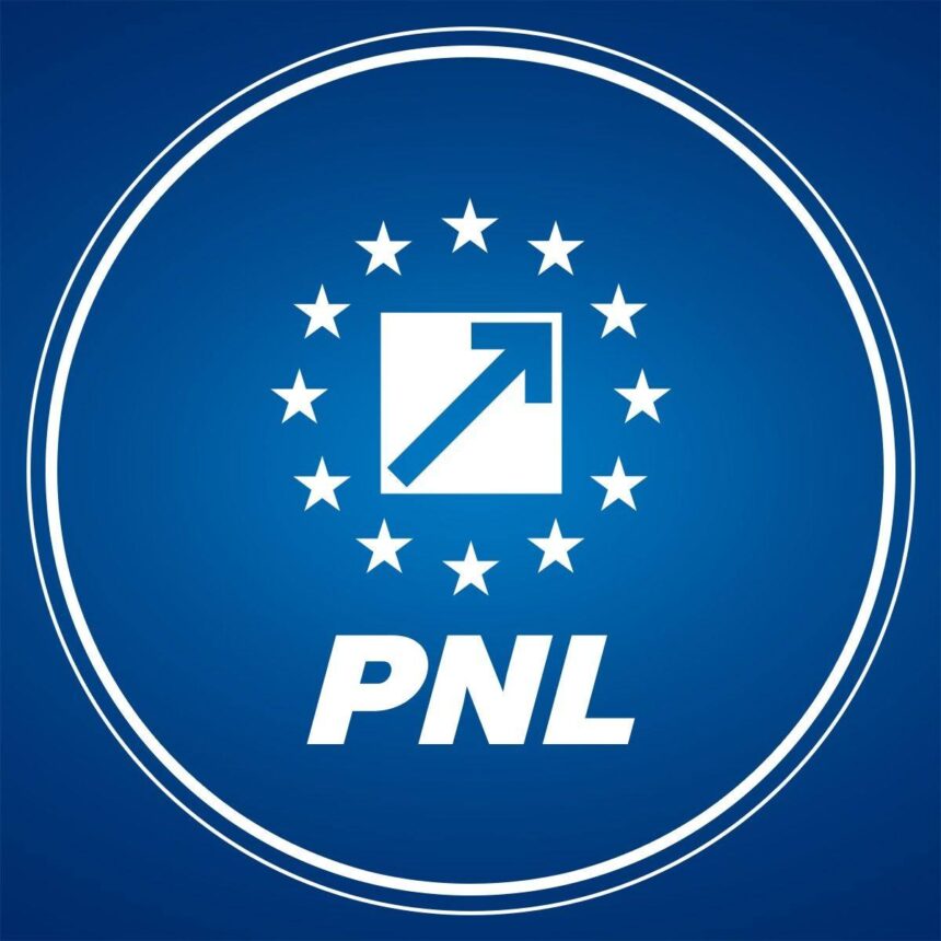 biroul politic al pnl a votat propuneri pentru pachetul de relansare economica 6977a2fe8837c