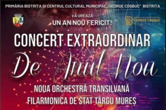 bistrita nasaud concert extraordinar de anul nou cu noua orchestra transilvana si filarmonica de stat targu mures 6960c12ccde8f