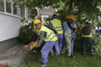 bns sunt necesare reglementari ale pietei muncii in domeniul lucratorilor migranti protejarea drepturilor prevenirea abuzurilor 696a6121ea6f5