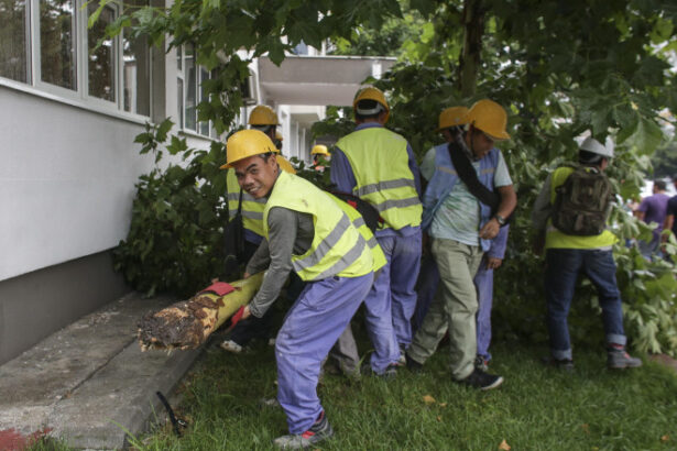 bns sunt necesare reglementari ale pietei muncii in domeniul lucratorilor migranti protejarea drepturilor prevenirea abuzurilor 696a6121ea6f5