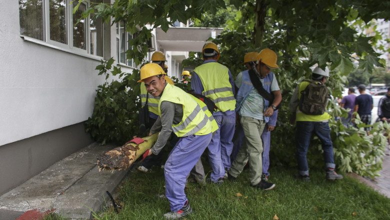 bns sunt necesare reglementari ale pietei muncii in domeniul lucratorilor migranti protejarea drepturilor prevenirea abuzurilor 696a6121ea6f5