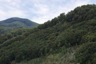 bogdan ivan dupa ce s a emis acordul de mediu pentru etapa a doua a proiectului cerna motru tismana 136 gwh de energie curata si stabila in fiecare an peste 5 000 de gospodarii a 6979b77e75b56