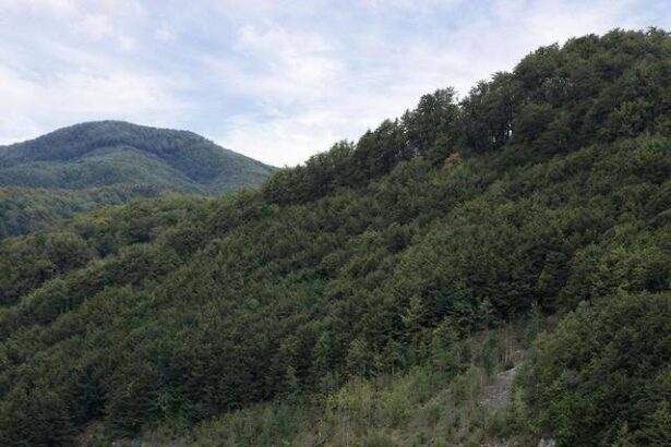 bogdan ivan dupa ce s a emis acordul de mediu pentru etapa a doua a proiectului cerna motru tismana 136 gwh de energie curata si stabila in fiecare an peste 5 000 de gospodarii a 6979b77e75b56