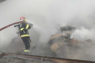 botosani incendiu la o ferma zootehnica din comuna manoleasa 696f61ae6ca77