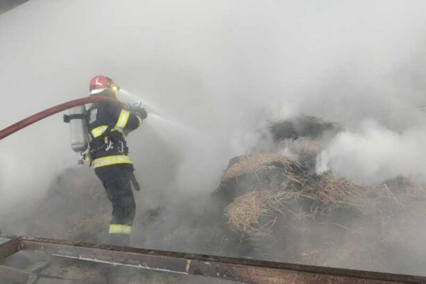 botosani incendiu la o ferma zootehnica din comuna manoleasa 696f61ae6ca77