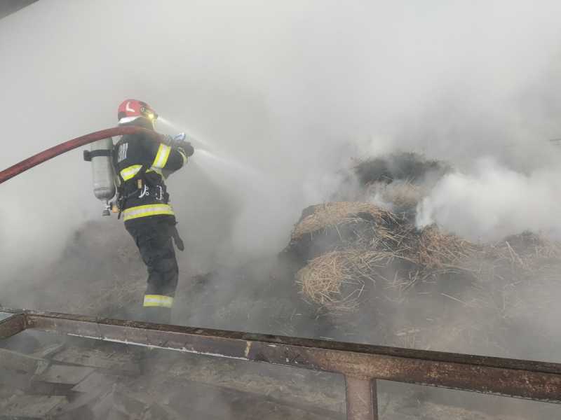 botosani incendiu la o ferma zootehnica din comuna manoleasa 696f61ae6ca77