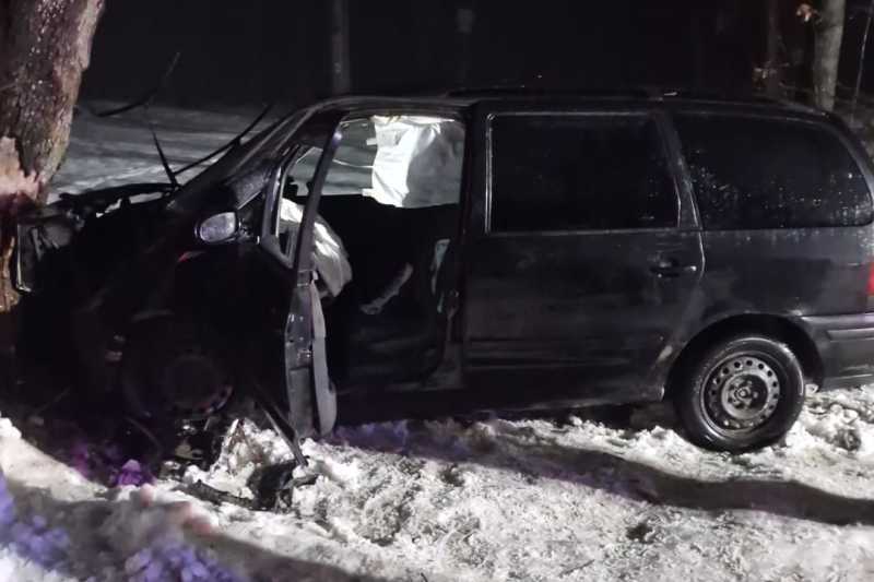 botosani sapte persoane au fost ranite dupa ce masina in care se aflau a lovit un copac 6978fedac1baf