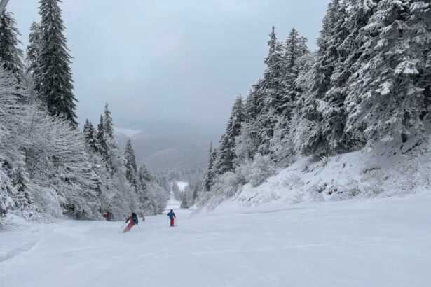 brasov inca o partie sulinar va fi deschisa de miercuri in poiana 69663d772adad