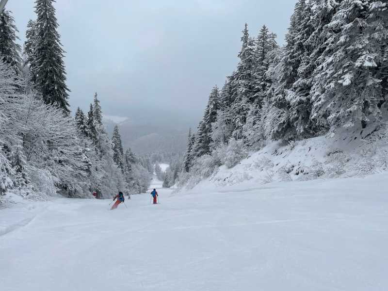 brasov inca o partie sulinar va fi deschisa de miercuri in poiana 69663d772adad