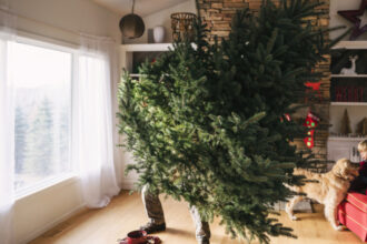 cat timp este recomandat sa tinem bradul impodobit cand este ziua potrivita pentru a l strange conform traditiei 6958a33869813