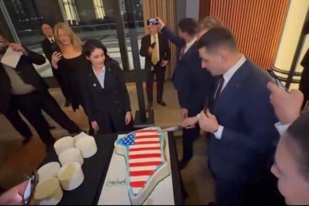 ce spune bolojan despre scena in care simion taie un tort in forma groenlandei nici noua nu ne ar fi picat bine 6973714be0c8a