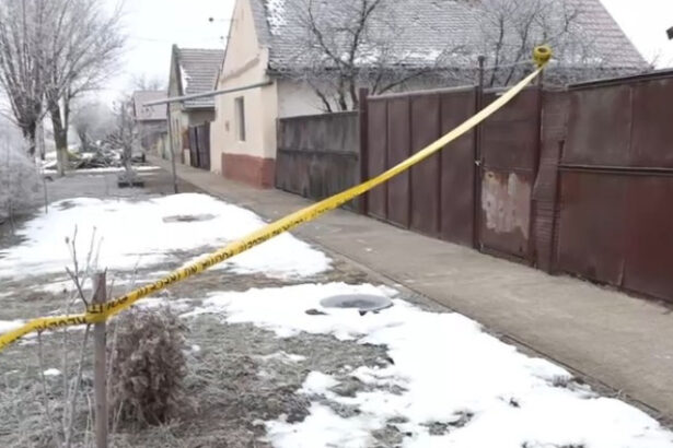 ce spune un sociolog despre cazul cumplitei crime din timis astfel de evenimente nu apar in vid 69747249e2371