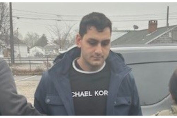 cine e romanul arestat in sua de agentii ice trimisi de trump acuzatiile aduse de autoritatile americane de imigratie 696b91df91120