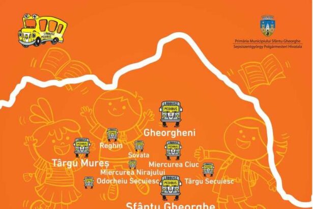 covasna pedibus continua in ciuda gerului 170 de copii au mers pe jos la scoala la minus 14 grade celsius 69663ac168479