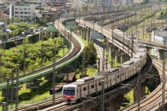 deceniul international pentru transport durabil 2026 2035 onu 695622b978a66