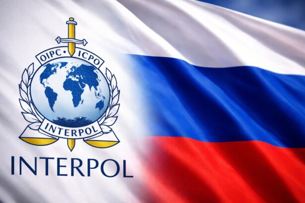 documente scurse ridica suspiciuni privind modul in care rusia foloseste interpol impotriva criticilor 69771fc934b82