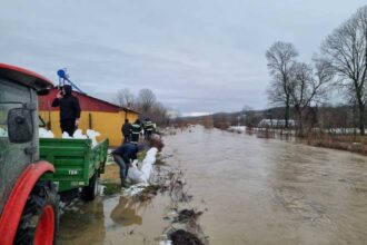dolj dig de saci de nisip in comuna grecesti pentru prevenirea inundarii locuintelor 6978b920c1a3f