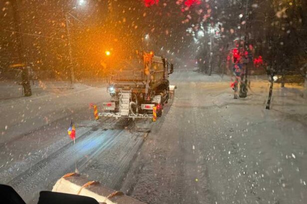 dominic fritz peste 200 de oameni angrenati in deszapezirea timisoarei ultima data a nins asa in 2012 695f7b642d34b