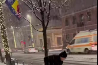 emil boc mesaj pentru firmele de deszapezire din cluj napoca cate statii de transport in comun necuratate atatea amenzi aplicate noaptea e lunga puneti va pe treaba video 695addeace4d2