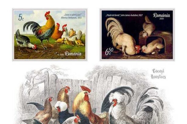 emisiunea de marci postale cocosi disponibila de vineri in magazinele romfilatelia 697b3b66cd9df