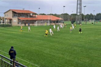 fotbal fk csikszereda arka gdynia 1 1 in meci amical 6962ad4ea2eed