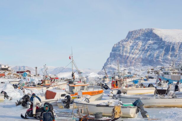 france and allies discuss response to possible us invasion of greenland 695e5b43de384