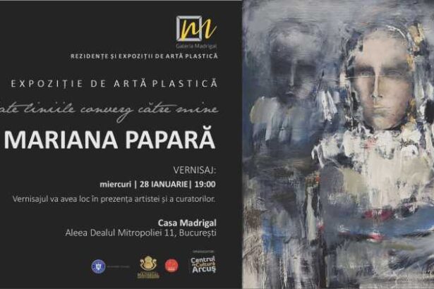 galeria madrigal se redeschide cu expozitia artistei mariana papara 69797e17ef690