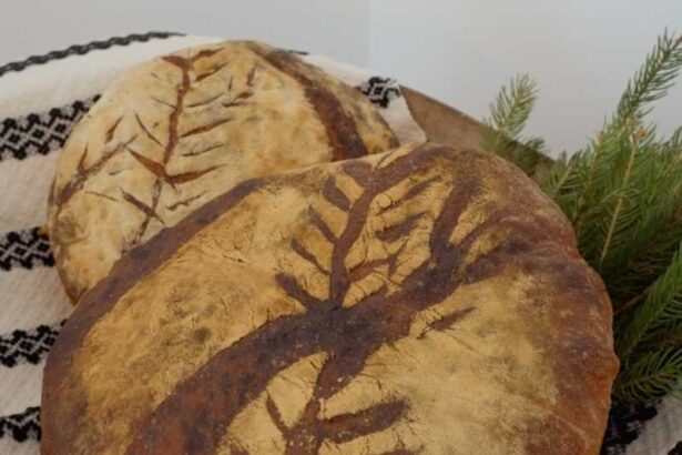 harta gusturilor judetului harghita painea de casa sarmalele kurtoskalacs printre simbolurile gastronomice locale 696f41db78a5e