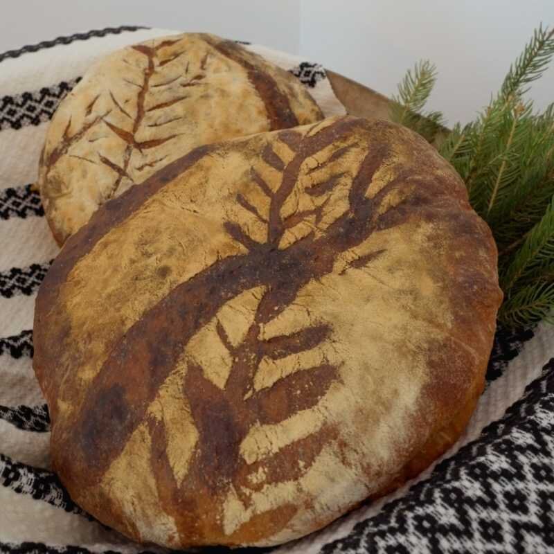 harta gusturilor judetului harghita painea de casa sarmalele kurtoskalacs printre simbolurile gastronomice locale 696f41db78a5e