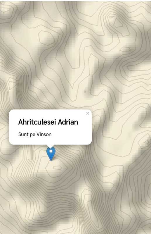 hunedoara alpinistul adrian ahritculesei a cucerit cel mai inalt varf din antarctica 695e16267fa49