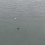 interventie de urgenta la agigea cautari dupa ce o fata ar fi cazut in canalul dunare marea neagra salvatorii i au gasit rucsacul 69739f926b2ba