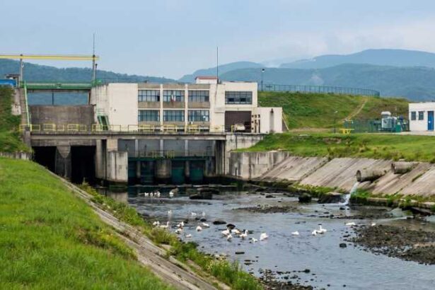 ministerul mediului a emis acordul de mediu pentru etapa secunda a proiectului hidroenergetic cerna motru tismana 697765b7cbb42