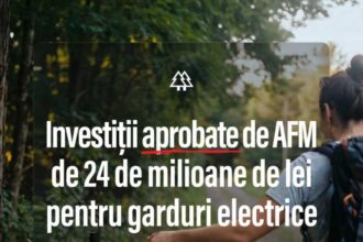 ministra mediului gardurile electrice reduc semnificativ riscul de atacuri si pagube fara a rani animalele 69736e1b55925