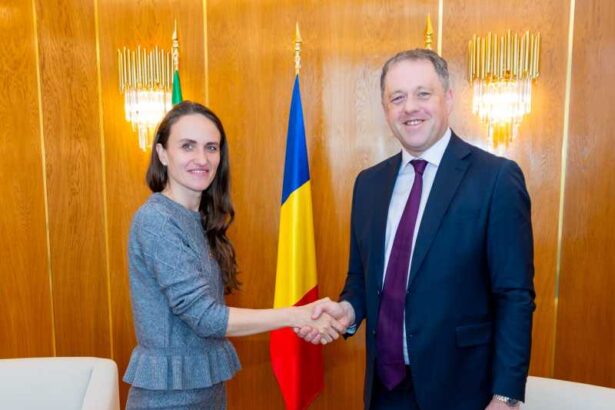 ministrul de stat irlandez pentru afaceri europene si aparare vizita in romania a fost primit de oana toiu 697ccc971c482